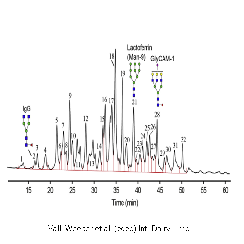 HPLC chromatogram of the overall bovine acid whey glycoprofile 